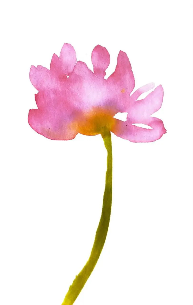 lotus sumi-e